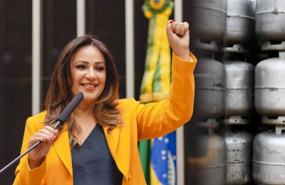 Rejane Dias aprova a inclusão de mais gente no Programa Internet Brasil